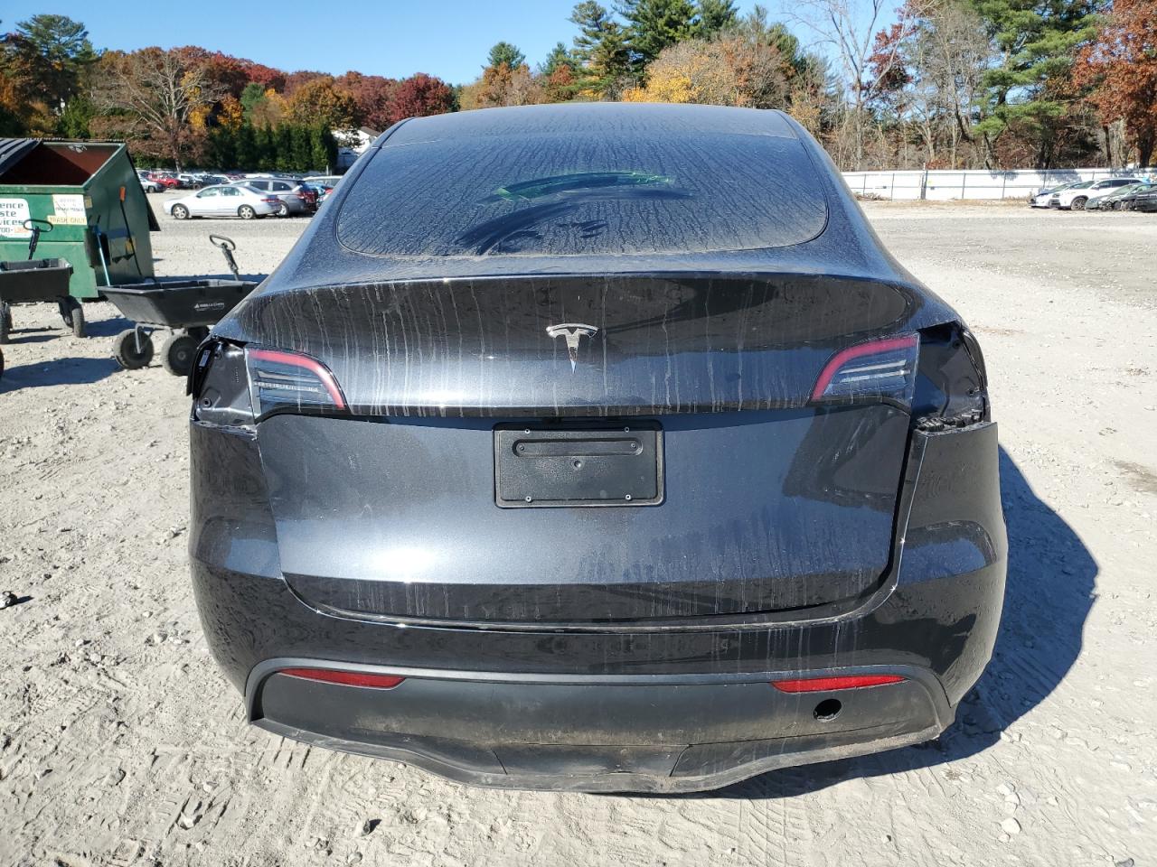 2024 TESLA MODEL Y  VIN:7SAYGDED2RF018759