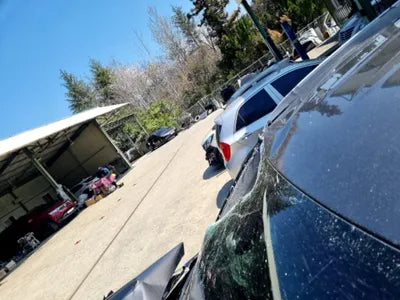 2020 Hyundai Santa FE KMHS381BBLU305856 VIN:KMHS381BBLU305856