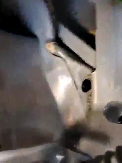 2016 BMW 520 WBA5E5101GG071385 VIN:WBA5E5101GG071385