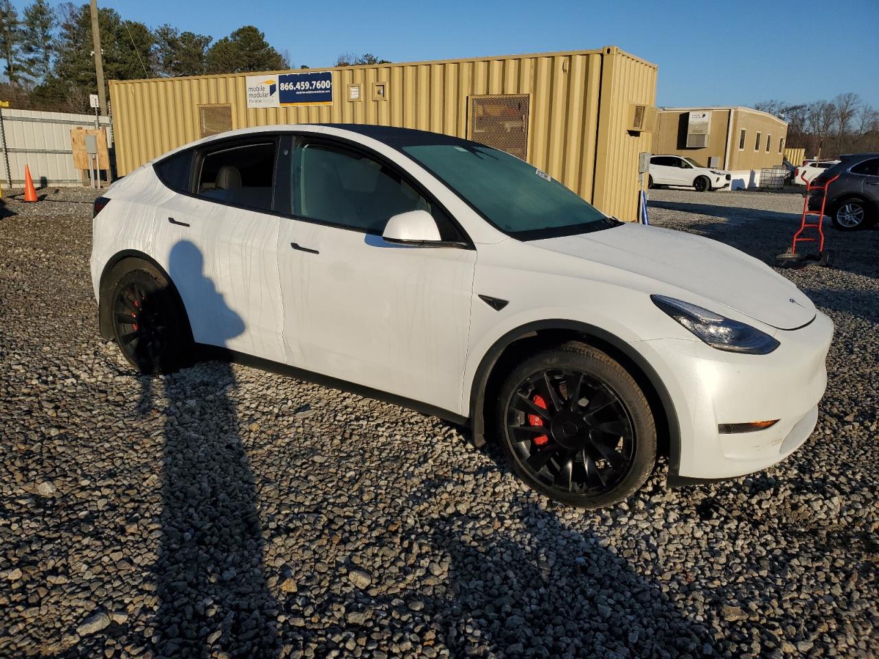 2023 TESLA MODEL Y  VIN:7SAYGDEE0PA030525