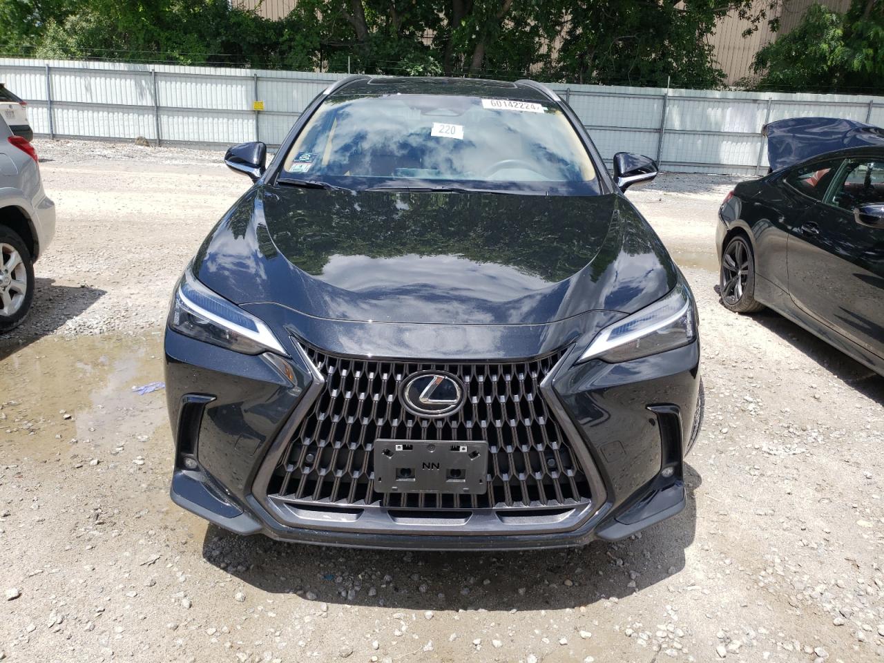 2023 LEXUS NX 350 VIN:2T2GGCEZ6PC029954