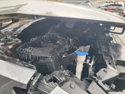 2022 Kia Sorento KNARL81GBNA071358 VIN:KNARL81GBNA071358