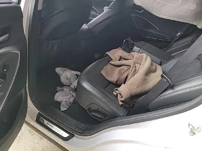 2016 Hyundai Santa FE KMHSW81XDGU665677 VIN:KMHSW81XDGU665677