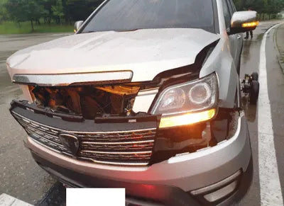 2017 Kia Mohave KNAKN814DHA157981 VIN:KNAKN814DHA157981