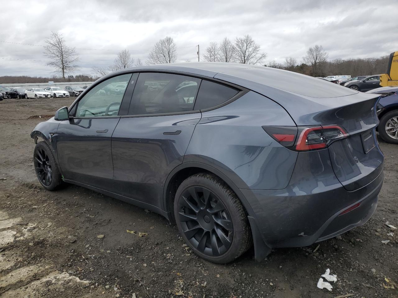 2023 TESLA MODEL Y  VIN:7SAYGDEE2PA079211