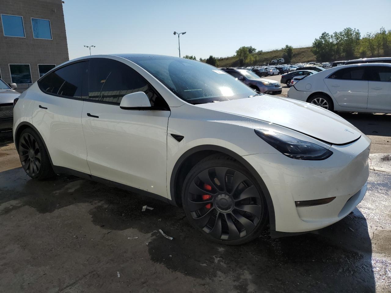 2023 TESLA MODEL Y  VIN:7SAYGDEF9PF812236