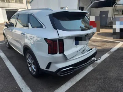 2021 Kia Sorento KNARL81BGMA107329 VIN:KNARL81BGMA107329