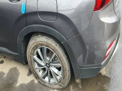 2019 Hyundai Santa FE KMHS281BBKU160055 VIN:KMHS281BBKU160055