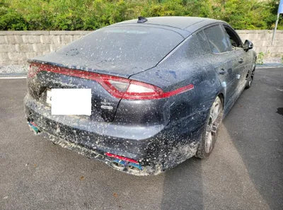 2018 Kia Stinger KNAE351ADJS003723 VIN:KNAE351ADJS003723