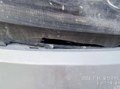 2019 Kia Sorento KNAPS81BDKA481049 VIN:KNAPS81BDKA481049