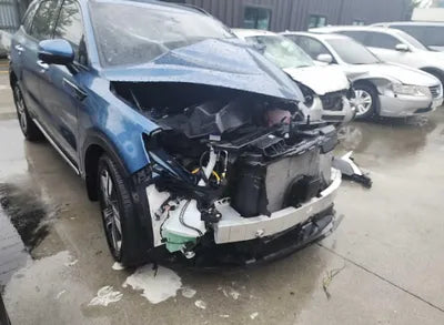 2023 Kia Sorento KNARL81GBPA160134 VIN:KNARL81GBPA160134