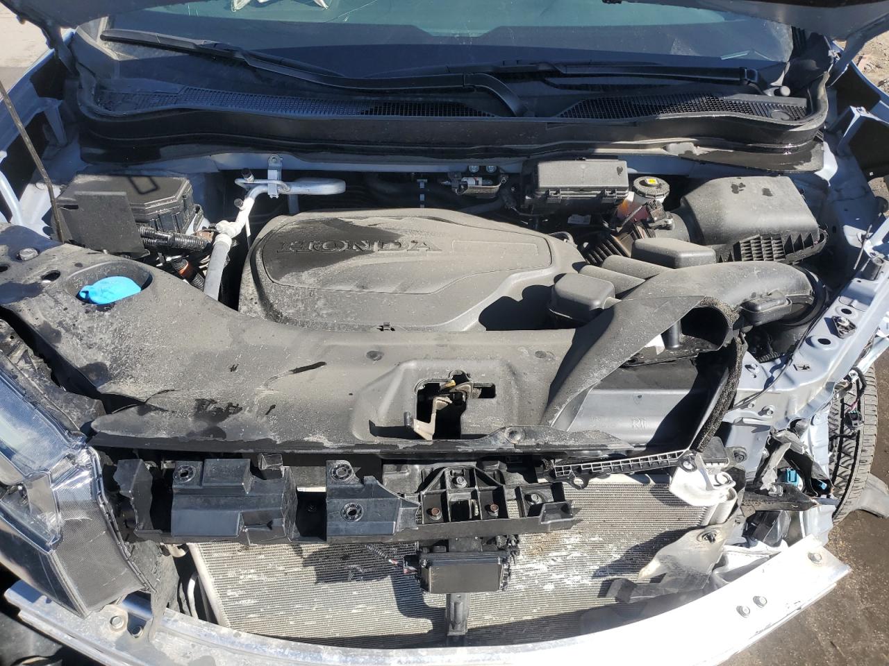 2024 HONDA PASSPORT EXL VIN:5FNYF8H56RB003516