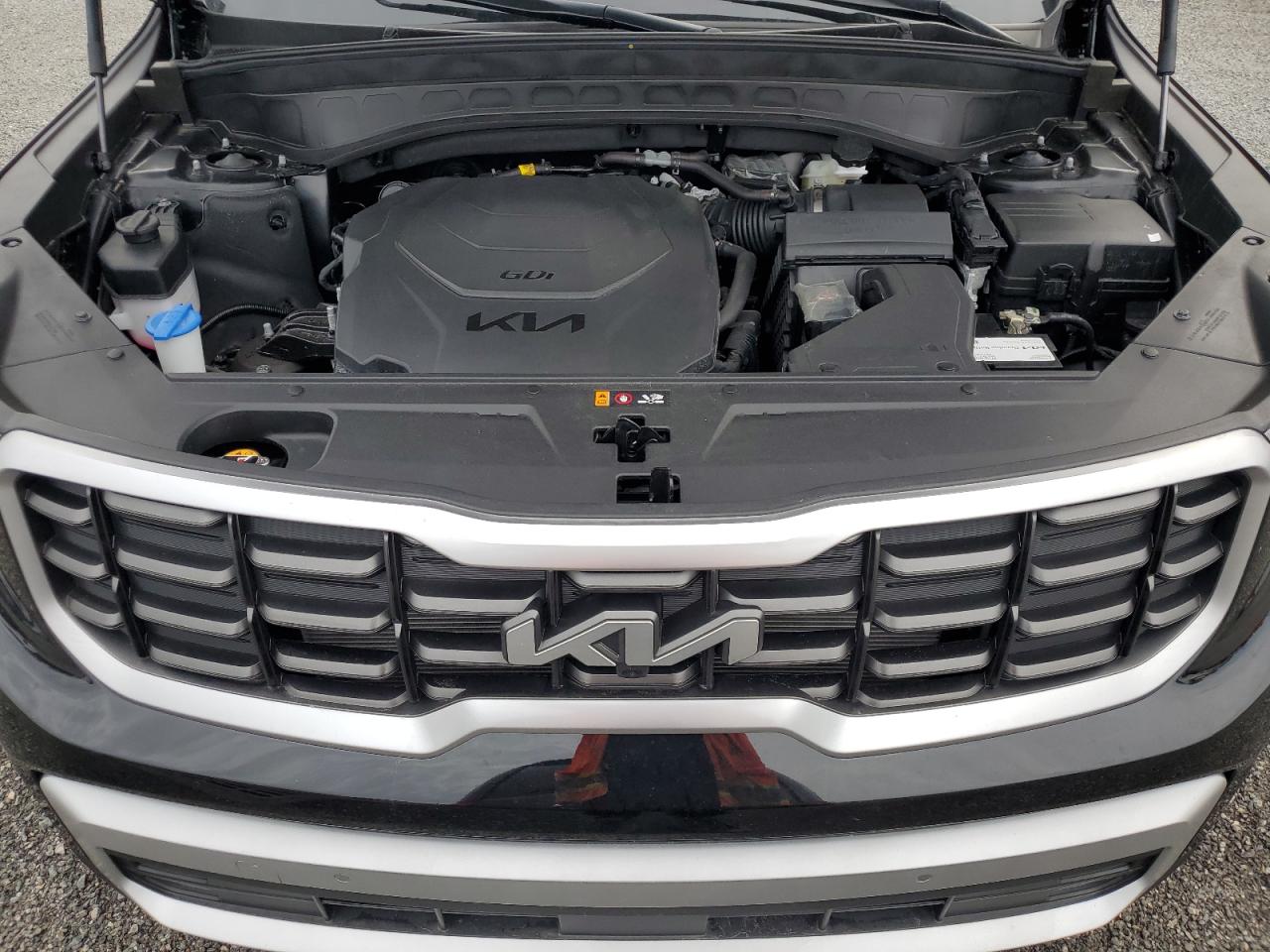 2024 KIA TELLURIDE SX VIN:5XYP5DGC6RG469978