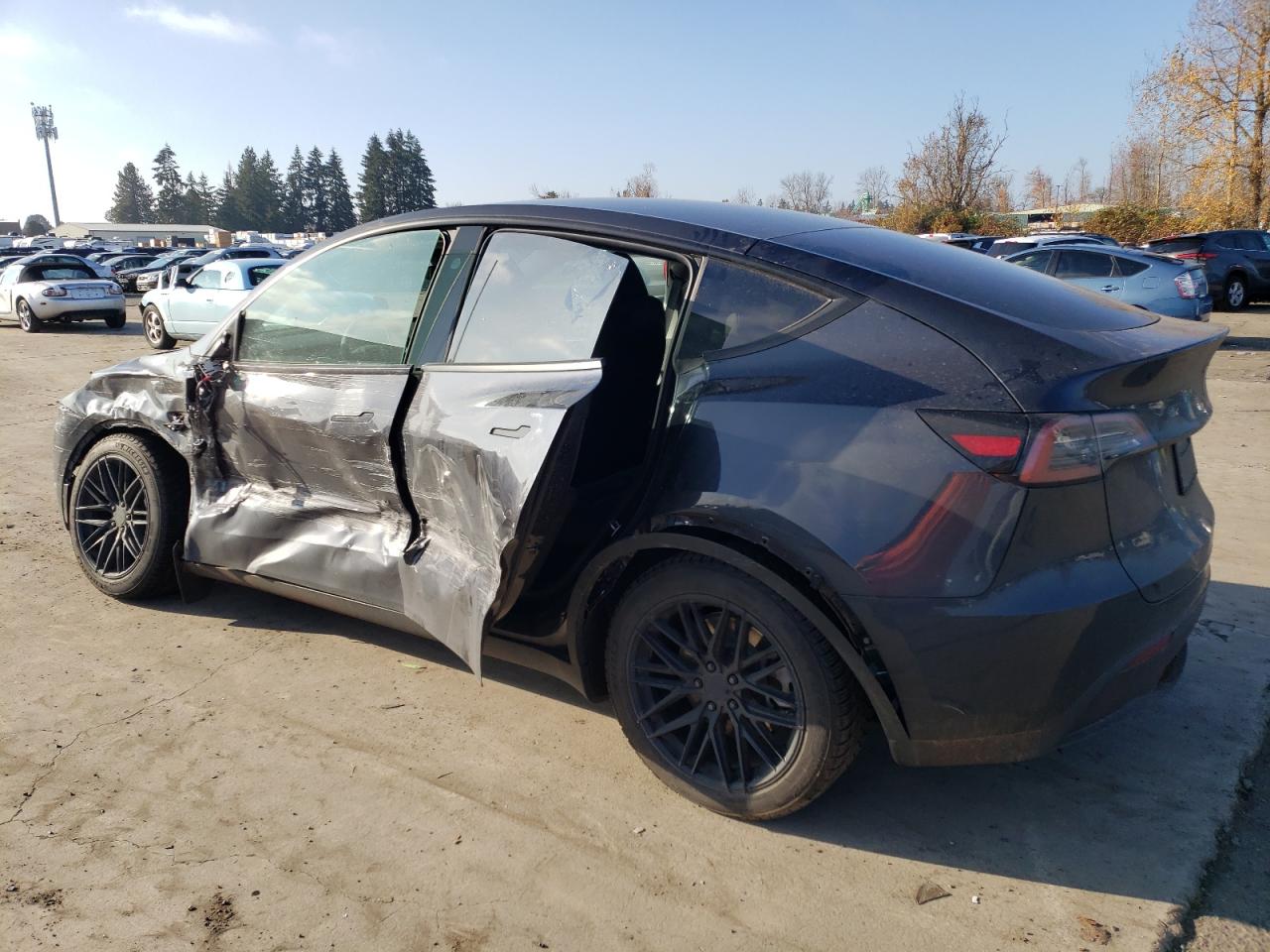 2024 TESLA MODEL Y  VIN:7SAYGDEE6RF151288