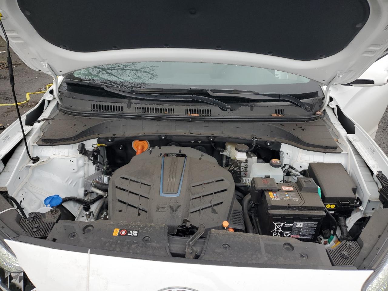 2023 HYUNDAI KONA LIMITED VIN:KM8K53AGXPU160456