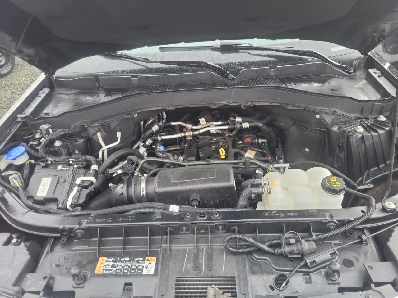 2022 FORD EXPLORER XLT VIN:1FMSK8DHXNGA10854