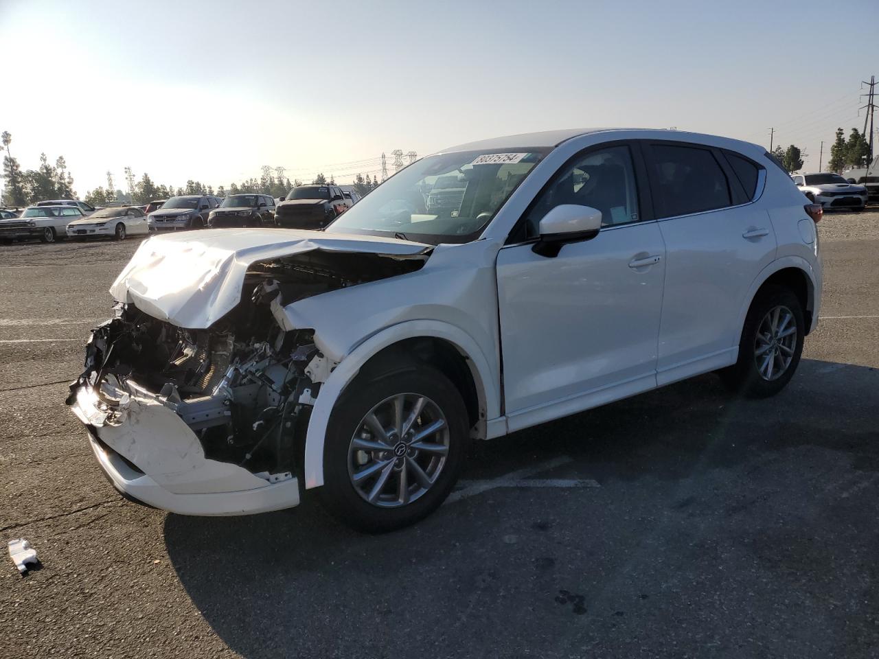 2024 MAZDA CX-5 SELECT VIN:JM3KFBBM9R0382438