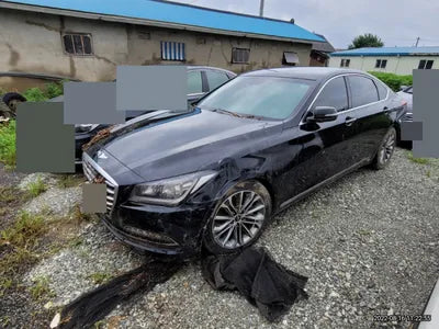 2015 acupuncture nessis 3.3 VIN: