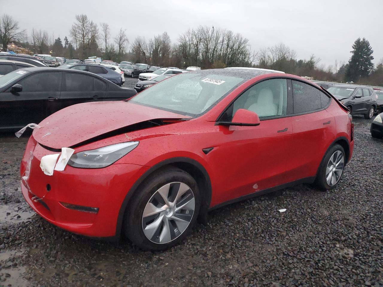 2023 TESLA MODEL Y  VIN:7SAYGAEE0PF888028