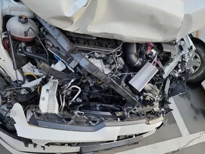 2021 Kia Sorento KNARF81BHMA039262 VIN:KNARF81BHMA039262