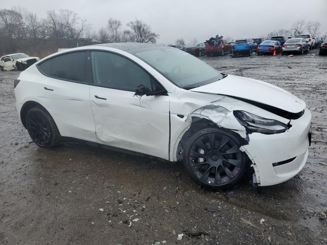 2022 TESLA MODEL Y  VIN:7SAYGAEE1NF431788