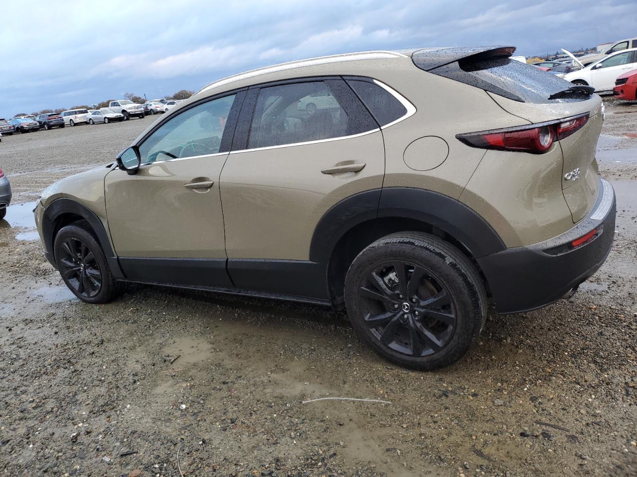 2024 MAZDA CX-30 CARBON TURBO VIN:3MVDMBXY3RM606382