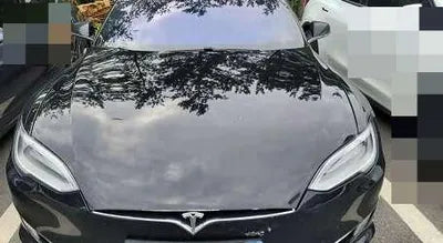 2019 Tesla Model S VIN: