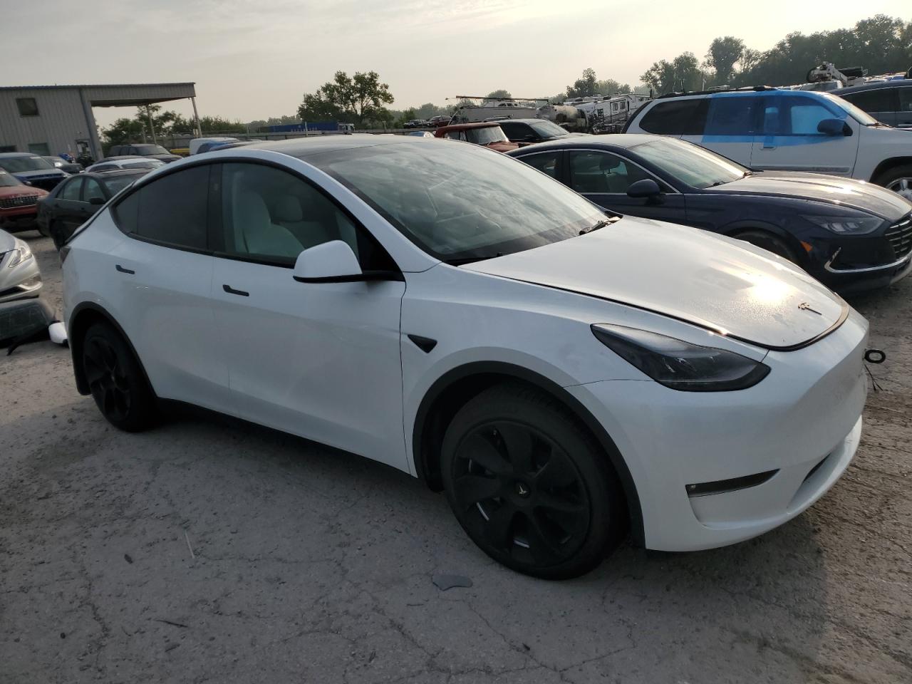 2023 TESLA MODEL Y  VIN:7SAYGDEE4PF810174