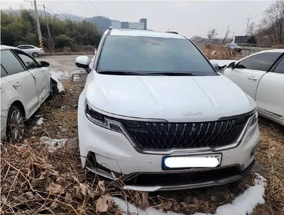 2022 Kia Carnival KNANE81BBNS170565 VIN:KNANE81BBNS170565