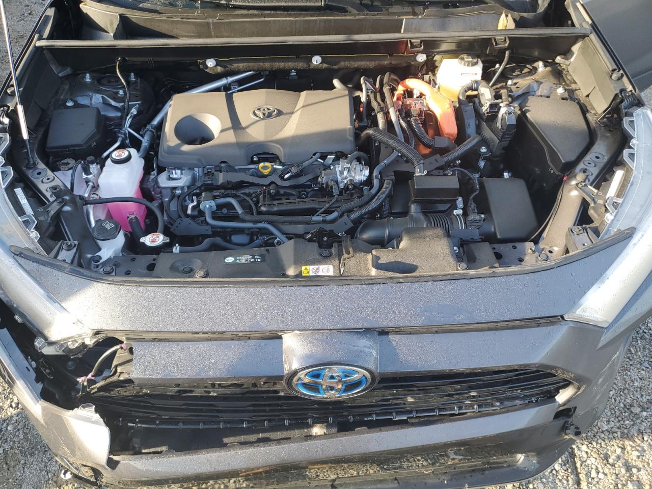 2023 TOYOTA RAV4 XSE VIN:JTME6RFV4PJ034765