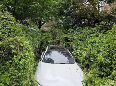 2017 BMW 118 WBA1S5101H5G76546 VIN:WBA1S5101H5G76546