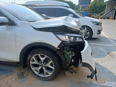2016 Kia Sorento KNAPH81ABGA195058 VIN:KNAPH81ABGA195058