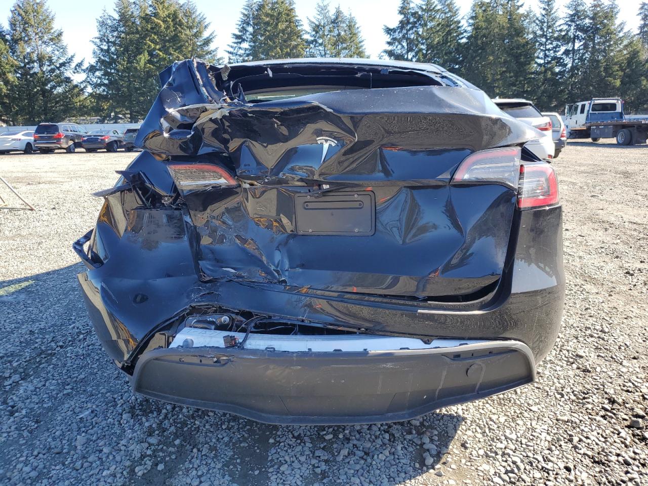 2024 TESLA MODEL Y  VIN:7SAYGDED3RF151577