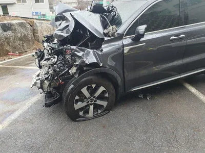 2021 Kia Sorento KNARL81BGMA097542 VIN:KNARL81BGMA097542