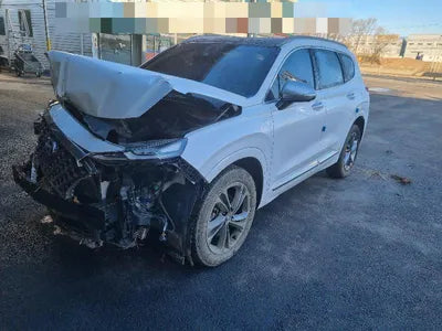 2019 Hyundai Santa FE KMHS581CDKU150496 VIN:KMHS581CDKU150496