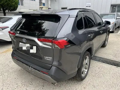 2019 Toyota RAV4 VIN: