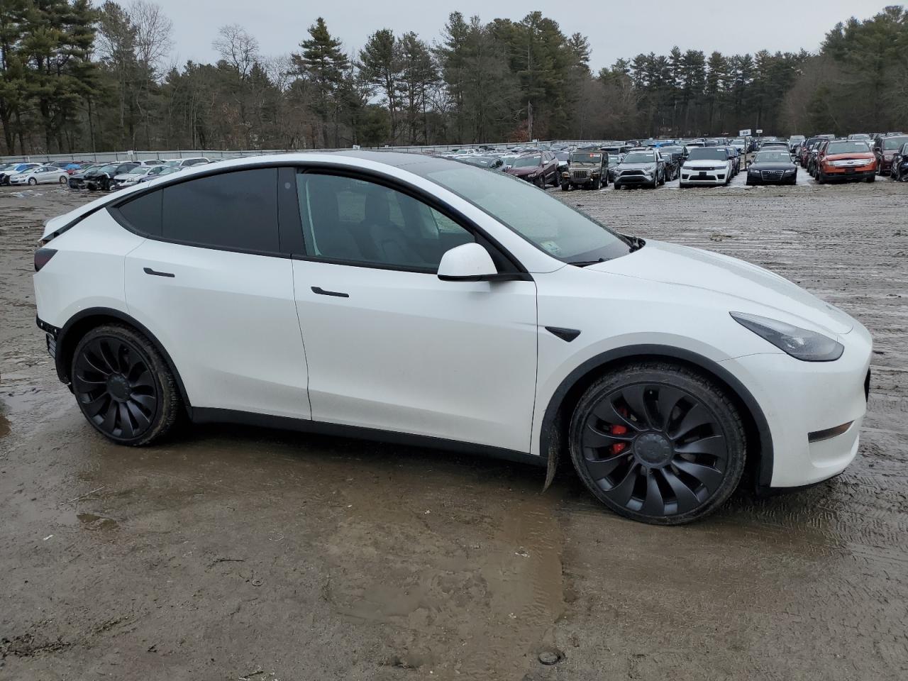 2022 TESLA MODEL Y  VIN:7SAYGDEF8NF399982