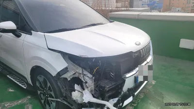 2021 Kia Carnival KNANE81BBMS067503 VIN:KNANE81BBMS067503