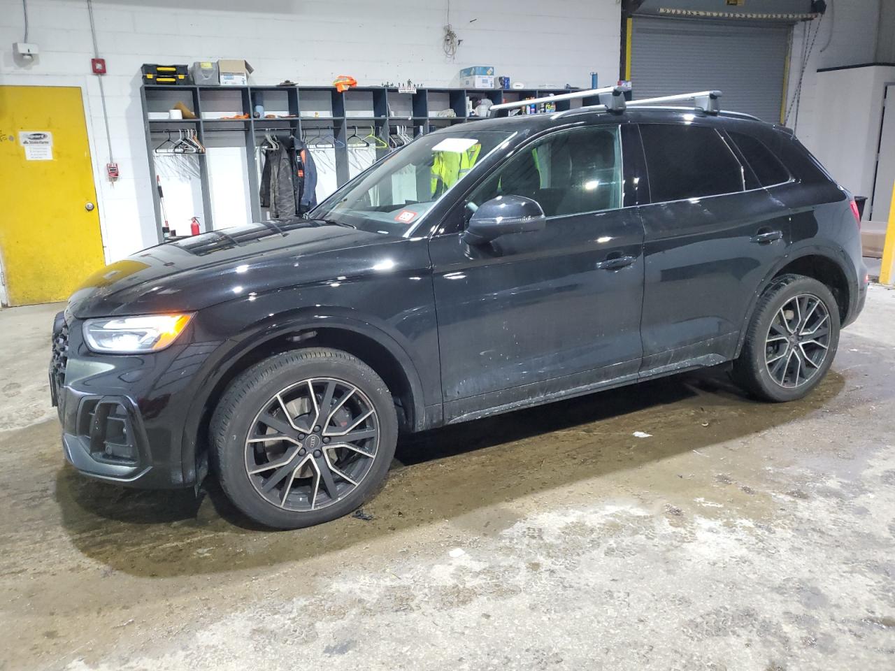 2024 AUDI SQ5 PREMIUM PLUS VIN:WA1B4AFY9R2151494