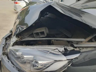 2019 Kia Sorento KNAPS81ABLA614119 VIN:KNAPS81ABLA614119