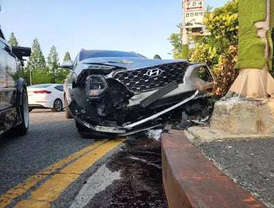 2019 Hyundai Santa FE KMHS381BBKU156411 VIN:KMHS381BBKU156411