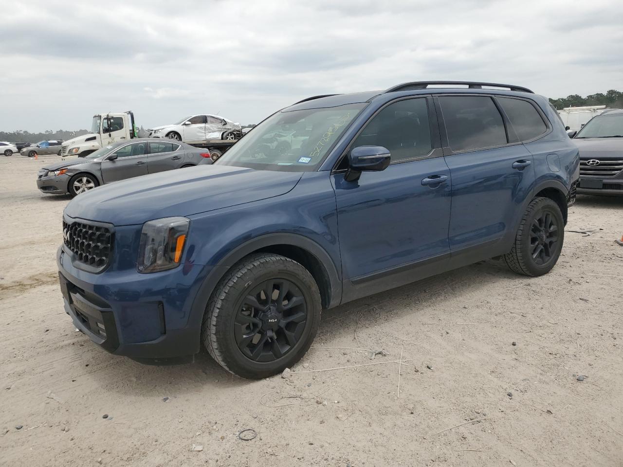 2024 KIA TELLURIDE SX VIN:5XYP5DGC6RG459113