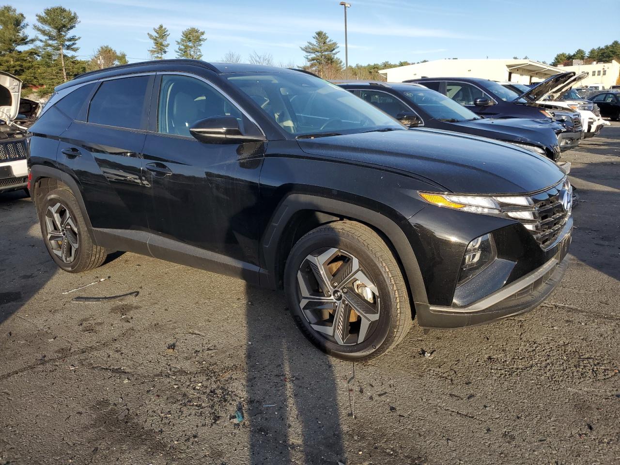 2024 HYUNDAI TUCSON SEL VIN:5NMJFCDEXRH319171