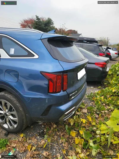 2022 Kia Sorento KNARF81BHPA179003 VIN:KNARF81BHPA179003