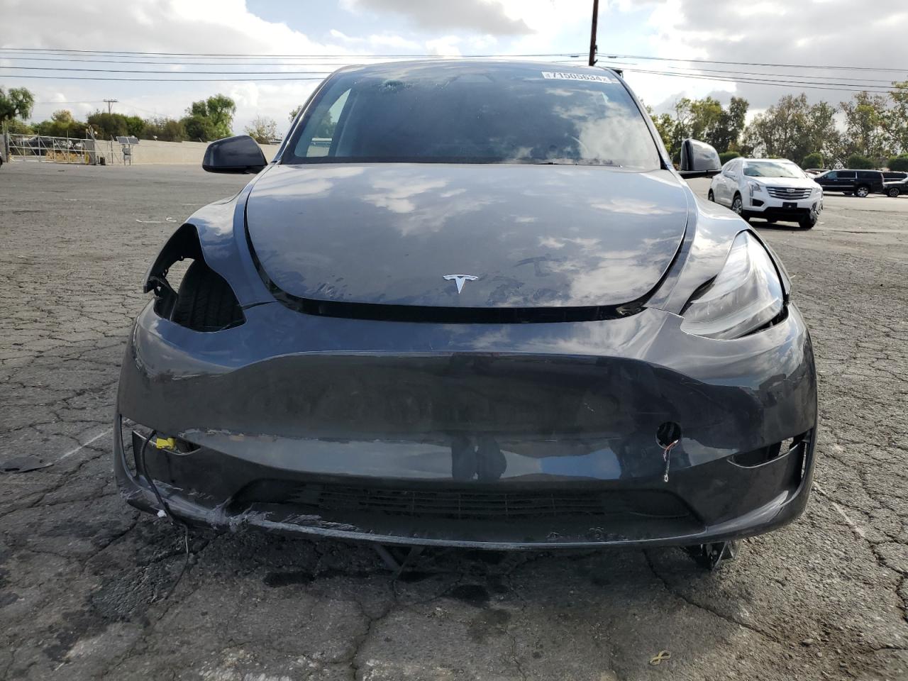 2024 TESLA MODEL Y  VIN:7SAYGDEE5RF123496