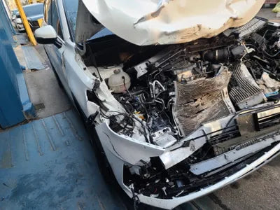 2021 Kia Sorento KNARL81BGMA039006 VIN:KNARL81BGMA039006