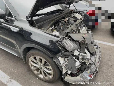 2020 Kia Sorento KNAPS81ABLA631279 VIN:KNAPS81ABLA631279