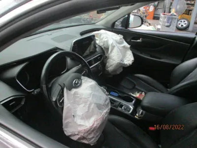 2019 Hyundai Santa FE KMHS381BDKU016097 VIN:KMHS381BDKU016097