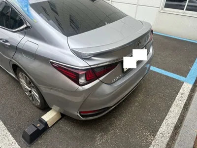 2022 Lexus ES 300 JTHBA1C14N2007480 VIN:JTHBA1C14N2007480