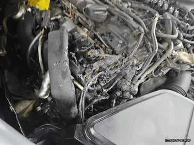 2019 BMW 530 WBAJD9102KB278446 VIN:WBAJD9102KB278446